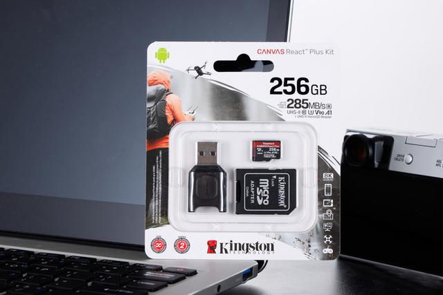 Kingston microSD 256GB