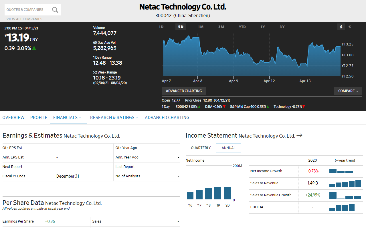 Netac Income statement