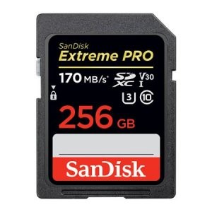 SanDisk Extreme Speed SD Memory Card 256GB