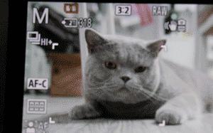 Other Brand V90 SD Card