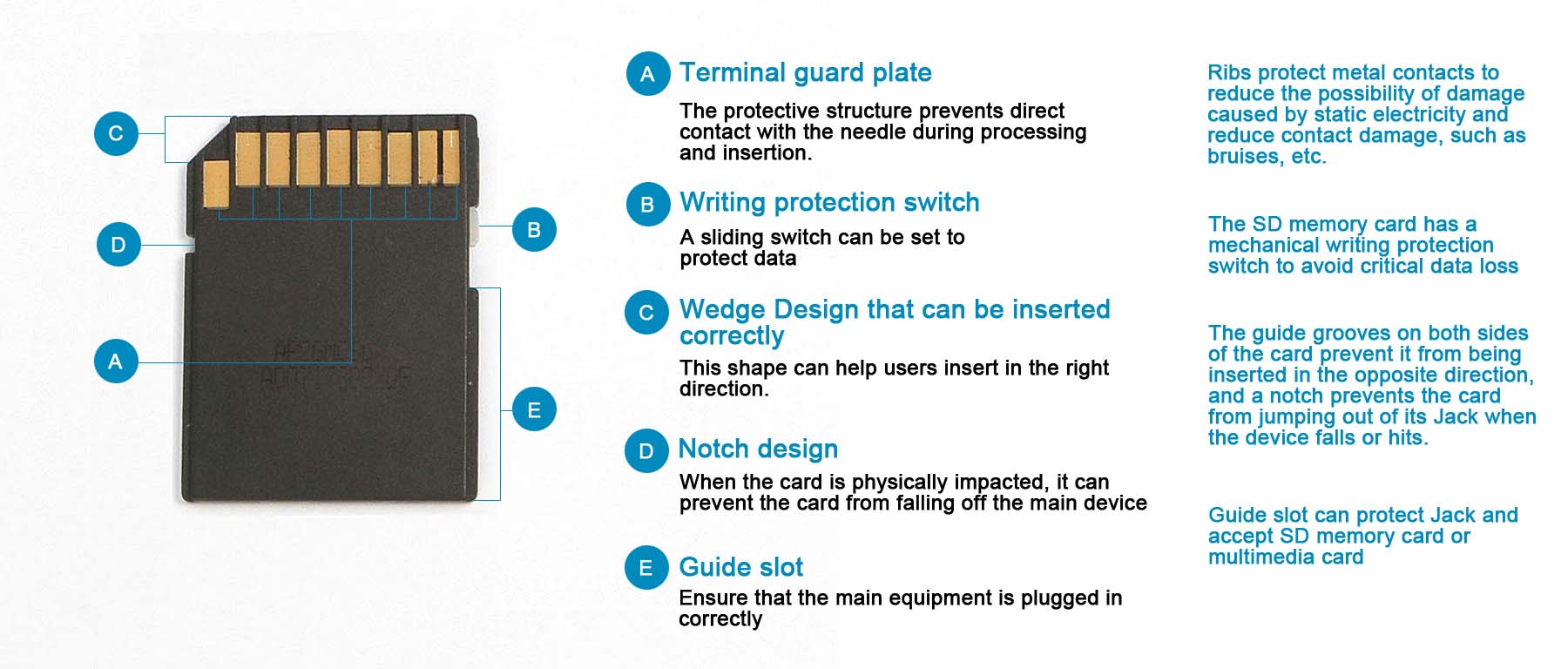 back of SD cards