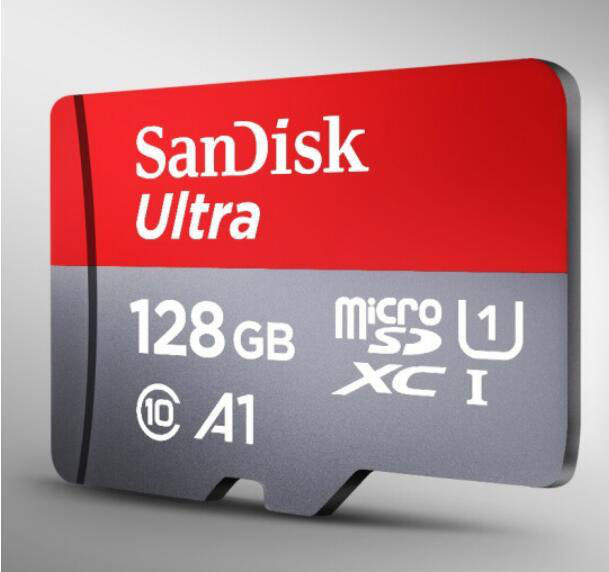 SD cards and Micro SD cards 