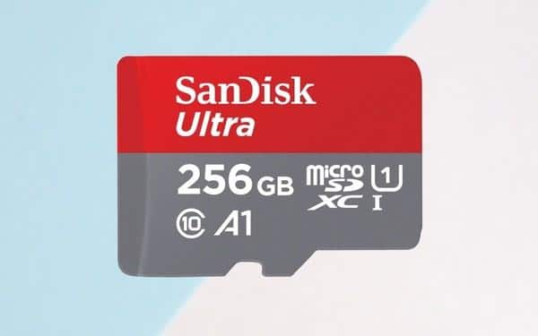 bulk micro sd cards 256gb u1 class10